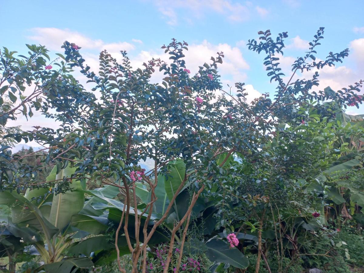 Homestay Hoang Vu Ha Giang Buitenkant foto